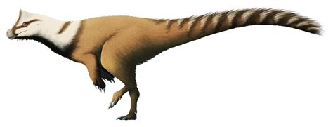 One of the earliest known dinosaurs, Herrerasaurus lived during the ...