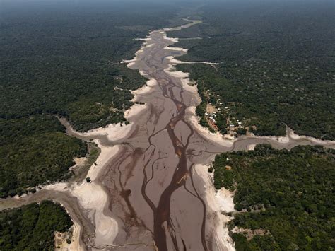 Amazon Drought Hits River Grain Shipments Harder Than Expected