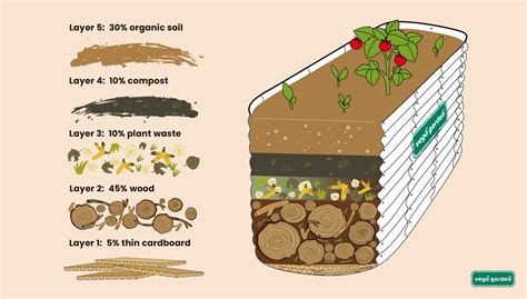 How To Fill Raised Garden Beds With Soil And Save Money – Vego Garden