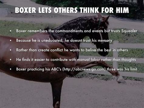 Great Boxer Animal Farm Quotes in the world Check it out now | buywedding1