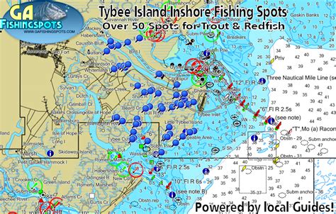 Tybee Island Savannah Georgia GPS Fishing Spots