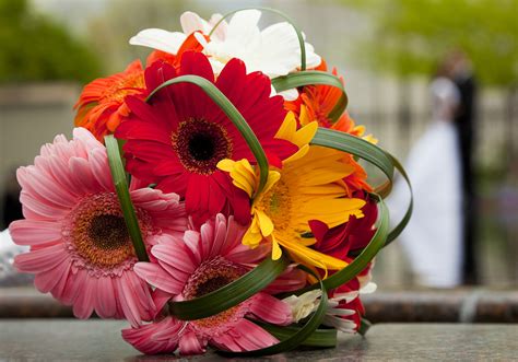 Gerbera Flower Arrangements For Weddings