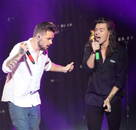 Liam Payne & Harry Styles Have Phone Call & Tease 1D Reunion ...