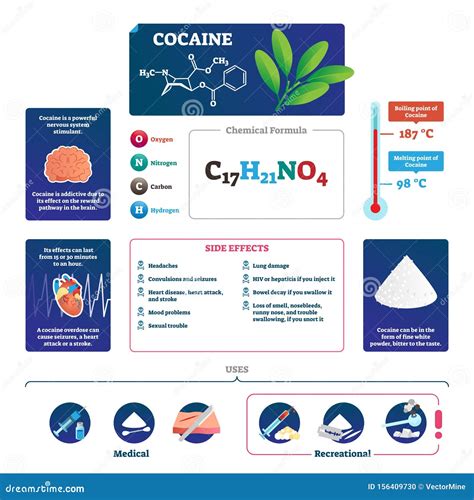 Cocaine Vector Illustration. Educational Labeled Drug Description ...