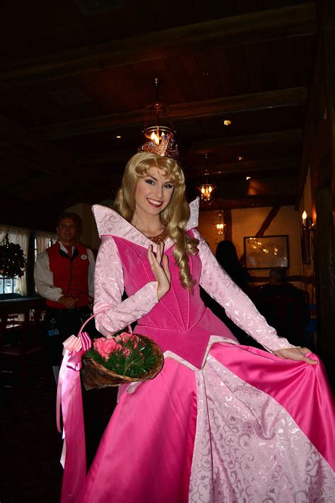 Walt Disney World Epcot Akershus Royal Dining Princess Character Meal ...