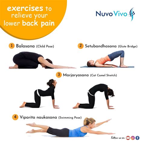 EXERCISES TO RELIEVE YOUR BACK PAIN | Lower back pain exercises, Back ...