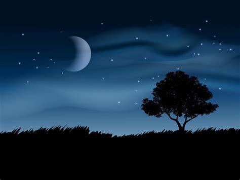 hermoso paisaje de noche con árboles, luna y nubes 4597156 Vector en ...