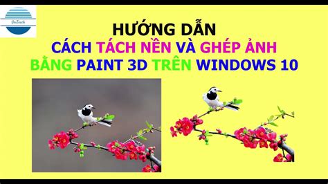 Hướng dẫn đơn giản Cách xóa nền ảnh trong Paint Với vài thao tác đơn giản