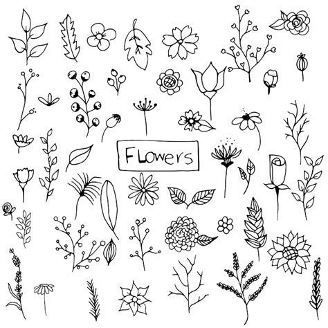 Hand Drawn Flower Vector Hd Images, Hand Drawn Flowers Pack, Hand Drawn ...