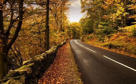 nature, Road, Trees, Forest Wallpapers HD / Desktop and Mobile Backgrounds