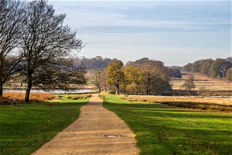 Richmond Park - Andrews Walks