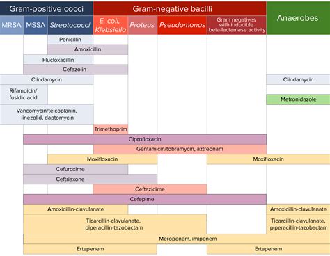 Aminoglycosides | Concise Medical Knowledge