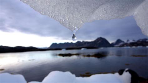 Smeltend poolijs veroorzaakt wellicht koudere winters | VRT NWS: nieuws