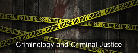 Exploring the Differences Between Criminology and Criminal Justice