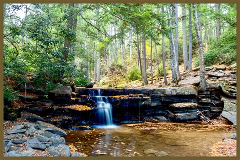 Local Attractions – Miner Hickory Horseback Riding