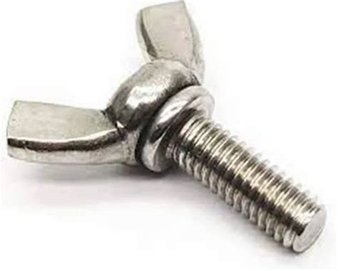 M3 To M12 Stainless Steel SS WING BOLT at Rs 8/piece in Ahmedabad | ID ...