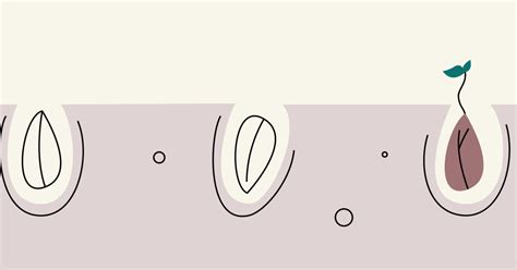 Recurrent Miscarriage: Causes, Treatment, and Testing