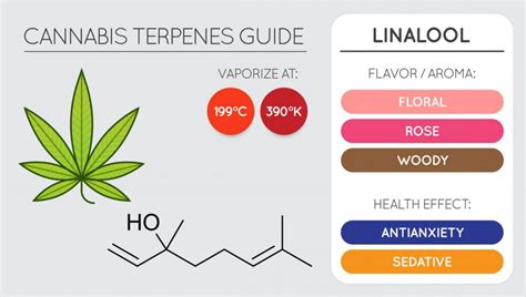 Vernon Cannabis Shop - What are cannabis terpenes?