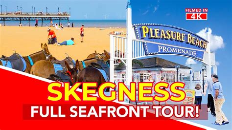 Can You Take Dogs On Skegness Beach