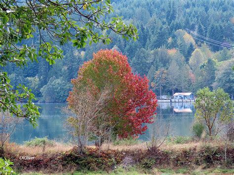 Early Autumn along Discovery Bay | Peninsula Passage