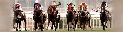 Race Radio - Multimedia Showcase - Horse Racing - The Hong Kong Jockey Club