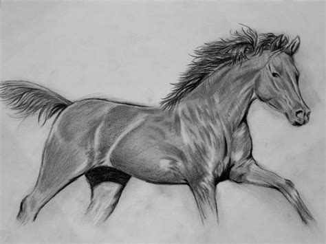 How To: Draw a realistic horse | Horse drawings, Horse sketch, Horse ...