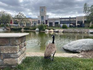 Conejo Valley: California's Other Side | TravelSquire