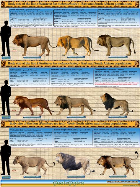 Animal Size Comparison | Frontier Forums