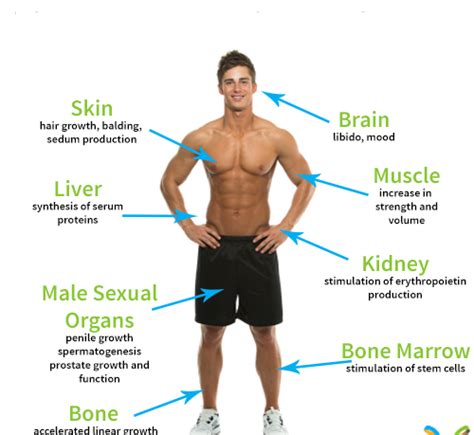 What Are the Symptoms Low Growth Hormone? - AAI Clinic