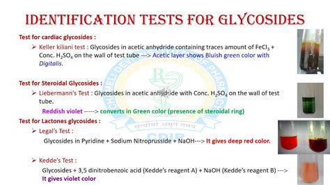 Introduction to Glycosides - YouTube