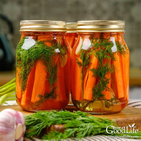 Dill Pickled Carrots Canning Recipe