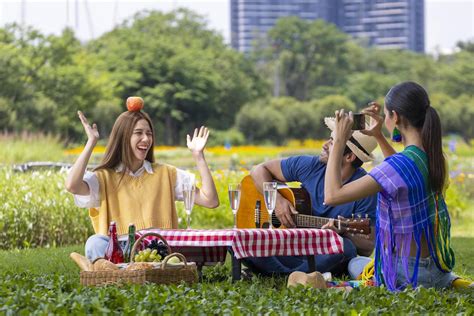 Picnic With Friends Stock Photos, Images and Backgrounds for Free Download