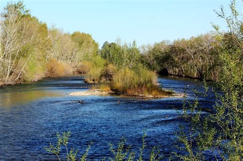 Boise Daily Photo: Signs of Spring on the Boise River