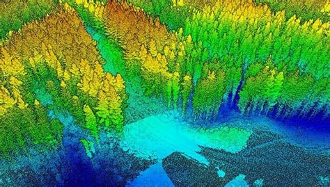 A Japanese Perspective: LiDAR forest data for resource analysis in ...