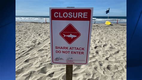 Woman Attacked By Shark in Del Mar, Lifeguards Close Beach – NBC 7 San ...