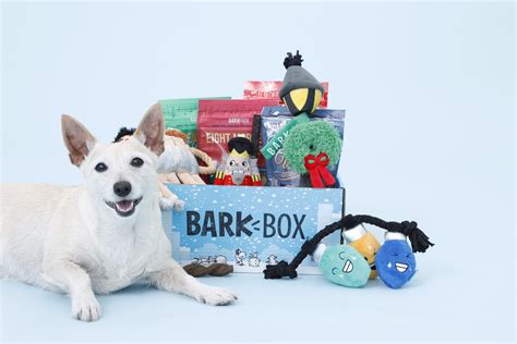 The Double Deluxe BarkBox Is the Gift Your Dog Really, Really Wants ...