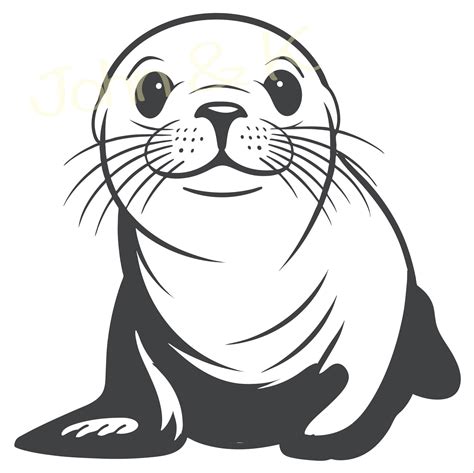 Fur Seal Svg, Kekeno Svg, Cute Fur Seal Vector, Animal Lover Clip Art ...