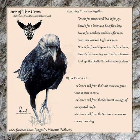 Pin by Tim Mason on Witchy | Animal spirit guides, Crow, Animal totems