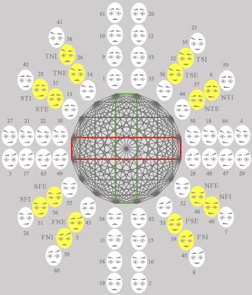 analytical interrelations in physiognomy