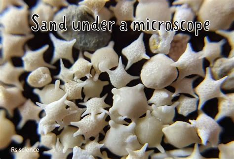 Sand under a Microscope - Rs' Science