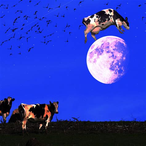 Delightfully Manic — cow jumped over the moon