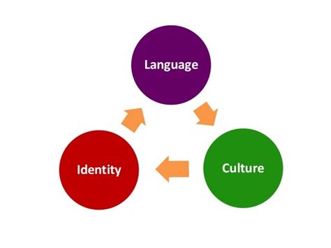 Relationship between language, culture, and identity