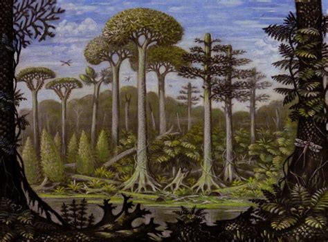 Carboniferous Period | Prehistoric period, Paleo art, Prehistoric world