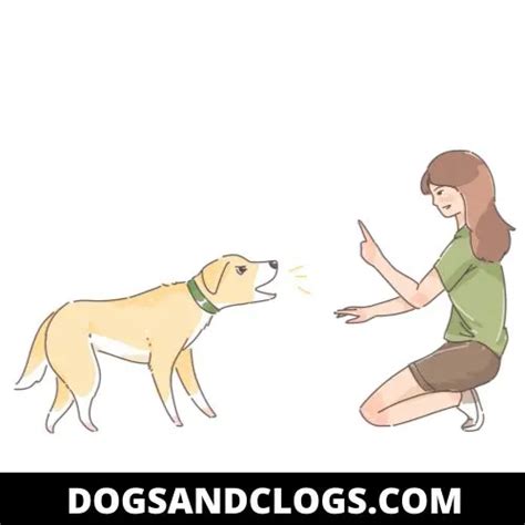 9 Steps To Stop Dog Barking In 7 Days (How-To Guide) - DogsAndClogs