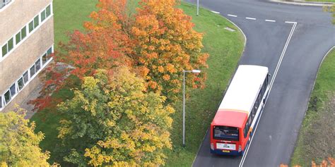 Underpass closure - bus schedule changes (24 July to 25 August ...