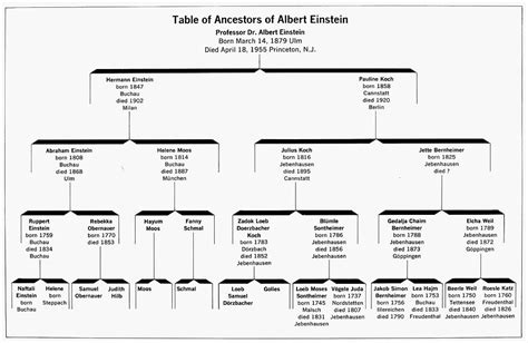 Albert Einstein Family Tree Descendants - Image to u