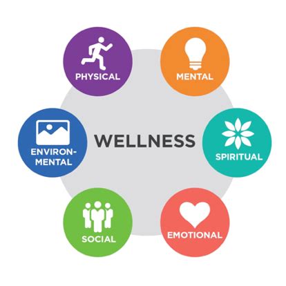 WHAT IS WELLNESS? – Qi Supplements