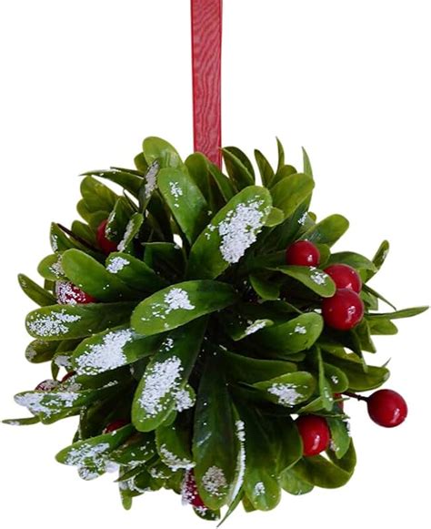 Amazon.co.uk: mistletoe berries