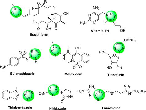 Frontiers | Novel Bis-Thiazole Derivatives: Synthesis and Potential ...