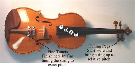 How to Tune a Violin: In-Detail Guide for Beginners [Upd. 2024]